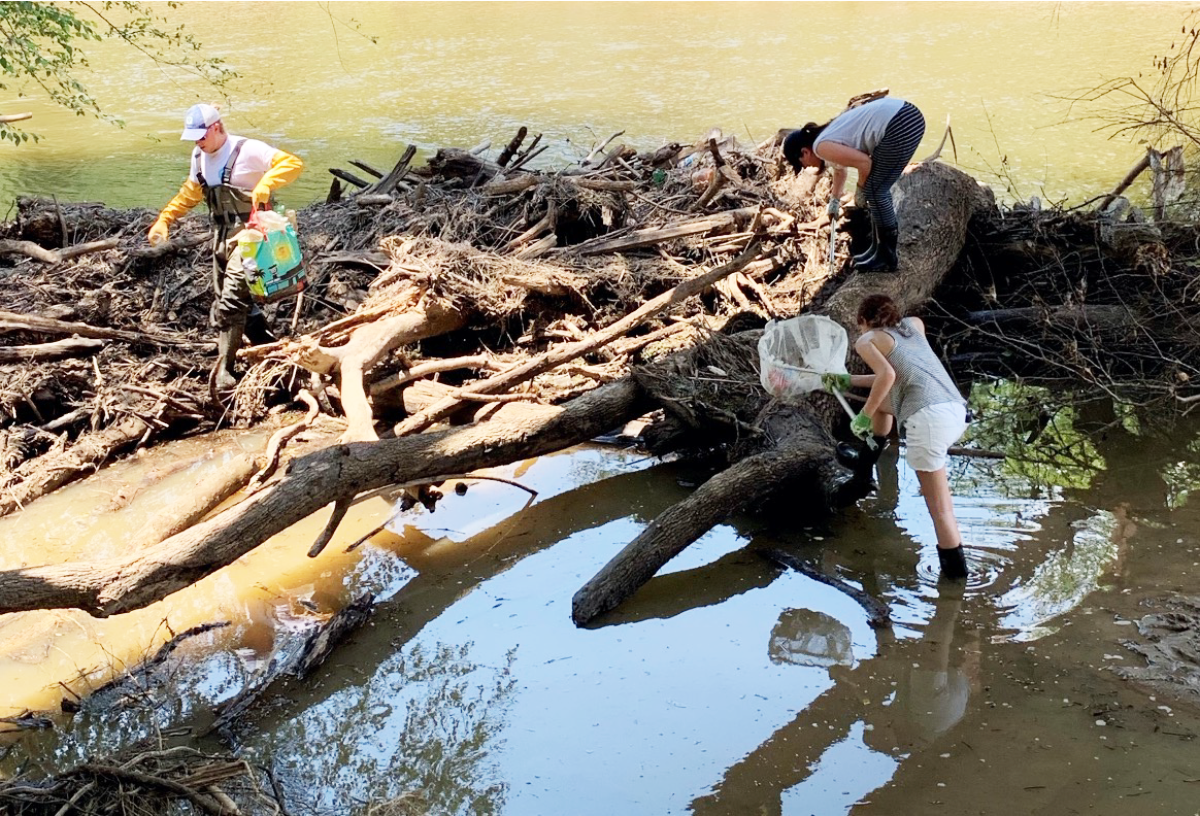 Cleaning River Trash Cleaning River Trash
